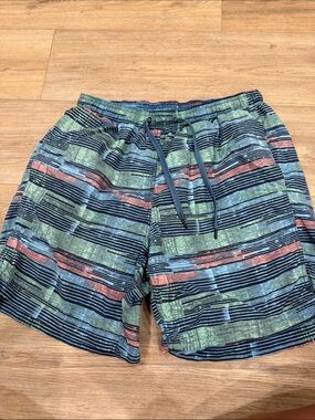 Saxx Men's Striped Swim Trunks in Green, Blue & Coral